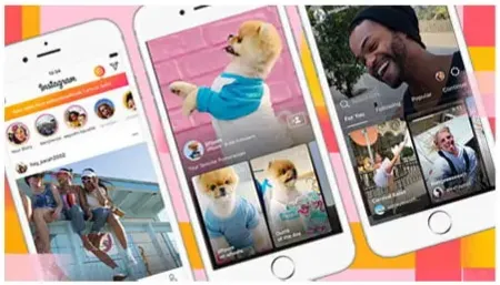 Instagram IGTV Downloader