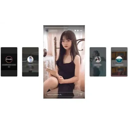 Instagram Story Downloader